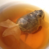 Goldfish Tea?