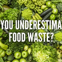 New App Aims to Reduce Food Waste